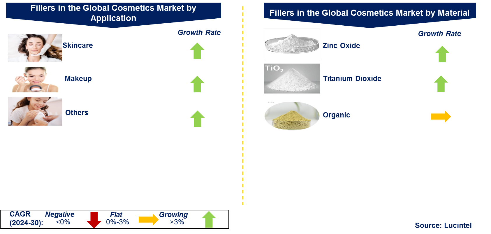 Fillers in the Global Cosmetics Market by Segment